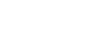 Weboty Cloud & IT